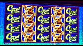 Huge MAX BET bonus on Corgi Cash slot!