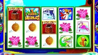 LUCKY MEERKATS Video Slot Casino Game with a "BIG" WIN" MEERKAT BONUS