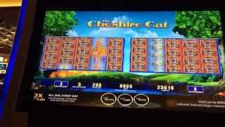 Nice Win / "The Cheshire Cat" Slot Machine (3 wilds reels)