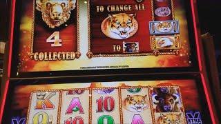Buffalo Gold VS  Buffalo  & Indian Dreaming Slot Machine BONUSES !! WONDER 4 SLOT