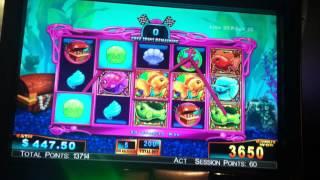 Goldfish Race for the Gold Slot Machine Bonus - Free Spins - Part 2