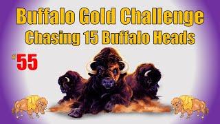 Buffalo Gold Challenge - Chasing 15 Buffalo Heads #55