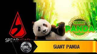 Giant Panda slot by Spearhead Studios