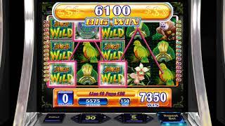 JUNGLE WILD Video Slot Casino Game 2