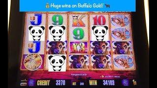 • Huge Buffalo Gold run! Amazing Big Bonuses! •