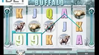 MG WhiteBuffalo Slot Game •ibet6888.com