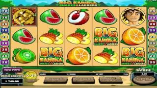 Free Big Kahuna Snakes and Ladders Slot by Microgaming Video Preview | HEX