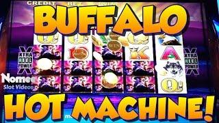 Buffalo Slot Machine - HOT MACHINE!! - Bonus Flurry Session at Max Bet!