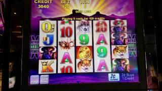 Buffalo Slot Machine Max Bet    HOT MACHINE!!   Session at Max Bet Las Vegas Slots NO WINNER