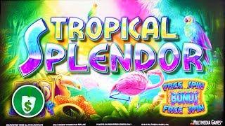 Tropical Splendor slot machine