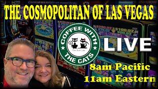 • LIVE: COFFEE WITH THE CATS 03/08/2020