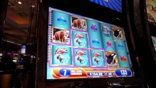Slot Hits 148!  CDN Dollar Equals 5 Cents