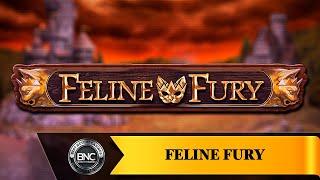 Feline Fury slot by Play'n Go