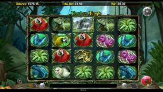 Jewel of the Jungle•