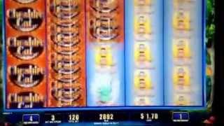 Cheshire Cat Slot Machine Bonus Golden Gate Casino Fremont St Las Vegas