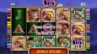 CATS Video Slot Casino Game with a FREE SPIN BONUS