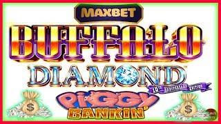 BUFFALO DIAMOND MAX BET vs PIGGY BANKIN LOCK IT LINK SLOT MACHINE