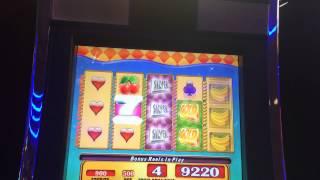 Whipping Wild Slot Machine Bonus - Big Win!