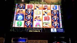 Tigress Bonus Win on Penny Slot Machine