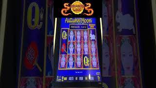 OMG FULL SCREEN WILDS PAYS HUGE HIGH LIMIT DRAGON LINK SLOT MACHINE #shorts