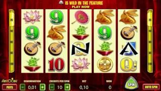 Free Wild Panda Slot by Aristocrat Video Preview | HEX