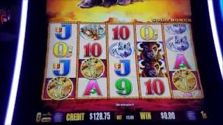 Buffalo Gold Slot Machine Bonus BIG WIN !!!! Max Bet Live Play