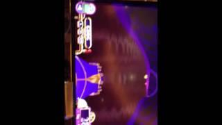 Willy Wonka's Chocolate River Bonus On 40 Cent Bet