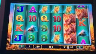 Raging Rhino Slot Machine Bonus