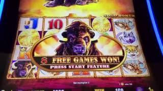 Buffalo Gold Slot Machine! FREE SPIN BONUS! ~ ANOTHER BAD BONUS! • DJ BIZICK'S SLOT CHANNEL