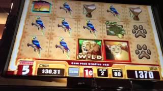 Jungle Cats 2 Slot Machine ~ GEM PROGRESSIVE SELECTION ~ RUBY X 2! • DJ BIZICK'S SLOT CHANNEL