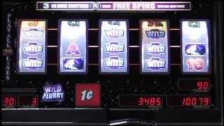 Wild Flurry Slot Machine by WMS ~ www.BettorSlots.com