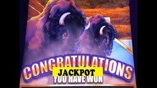 •JACKPOT (HANDPAY)•BUFFALO GRAND Slot machine•BUFFALOOOOOOOO My 1st Handpay ! $3.00 Bet @ Cosmo LV•彡