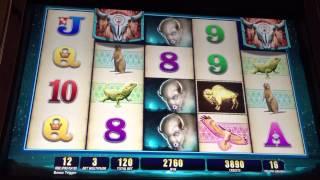 WMS Double Buffalo Spirit Slot Machine Free Spin Bonus & Retriggers