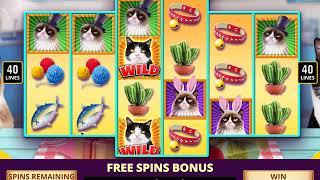 GRUMPY CAT Video Slot Casino Game with a GRUMPY CAT FREE SPIN BONUS