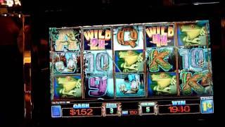 Wild Rainforest Slot Machine Bonus Win (queenslots)