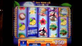 Blue Moon slot machine video bonus win at Parx Casino