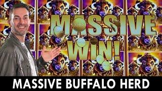 MASSIVE Buffalo Herd ⋆ Slots ⋆  Seven Feathers Casino in Oregon! #ad