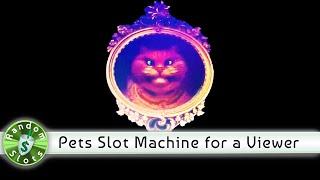 Pets slot machine, Bonus for a Viewer