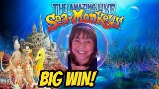 Big Win Sea Monkeys & Dangerous Beauty