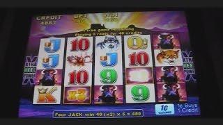 Buffalo NICE WIN Slot Machine Bonus Free Spins