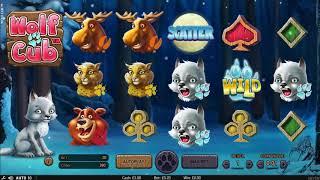 Wolf Cub Slot - Online Slot Game Play + FREE SPINS FEATURE WON!