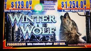 LIVE PLAY + BIG WIN Free Spin BONUS - $12.50 High Limit BET on WINTER WOLF Slot Machine #1