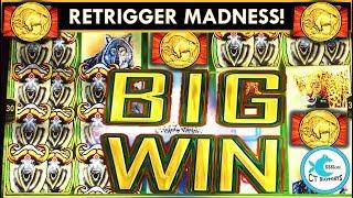 •NON-STOP COINS•SUPER BIG WIN• MIDNIGHT STAMPEDE SLOT MACHINE - Thanks Buffalo!