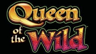 ***Throwback Thursday*** Queen of the Wild - WMS Slot Machine Bonus
