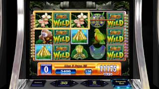 JUNGLE WILD Video Slot Casino Game with a "BIG WIN" FREE SPIN BONUS • SlotMachineBonus