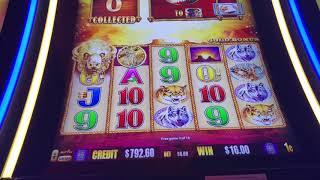 Buffalo Gold Slot Machine: Big wins on max bet