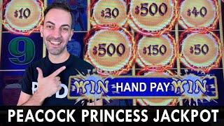 ⋆ Slots ⋆ JACKPOT WIN on Dragon Link ⋆ Slots ⋆ Peacock Princess delivers the beautiful bounty