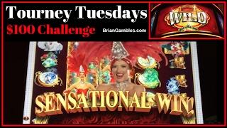 LONG Slot Challenge with Dragons, Kittens + CanCan • Tourney Tuesdays LIVE PLAY• Slot Machine Pokies