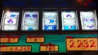 Gold fish slot machine bonus 27 multiplier