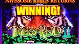BONUSES * Tiger Realm 2 Awesome Reels NICE Win